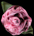 Chocolate Rose Silk-Satin Flower