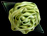Fresh Celery Silk-Satin Flower