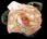 Blushing Bride XL Satin Flower