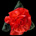 Bougainvillea XL Satin Flower