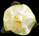 Lemon Meringue XL Satin Flower