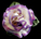 Lupine XL Satin Flower