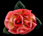 Rose Nectar XL Flower